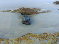 Meet me at the Beach