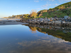 Meet me at the Beach