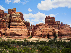 Image Gallery