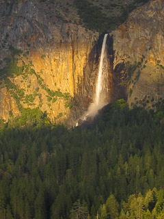 Image Gallery