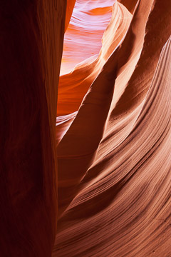 Arizona