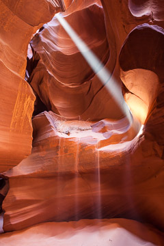 Arizona