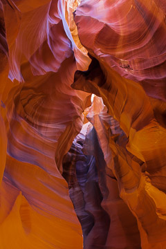 Arizona