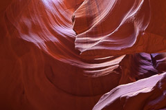 Arizona