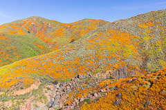 California