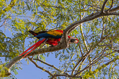 Costa Rica