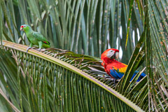 Costa Rica