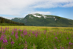 Oregon-Washington-Canadian Rockies