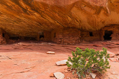 Utah (W/O National Parks)