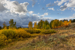 Grand Teton National Park