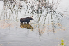 Grand Teton National Park