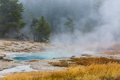Yellowstone National Park