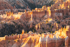 Bryce National Park