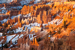 Bryce National Park