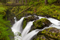 Olympic National Park