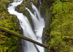 Olympic National Park