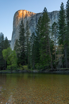 Yosemite National Park