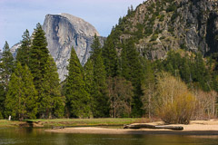 Yosemite National Park