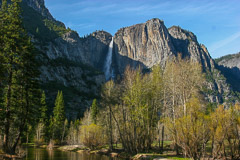 Yosemite National Park