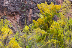 Zion National Park