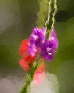 Stylistic Images