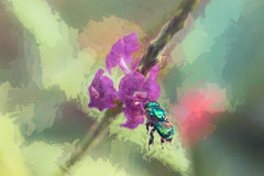 Stylistic Images